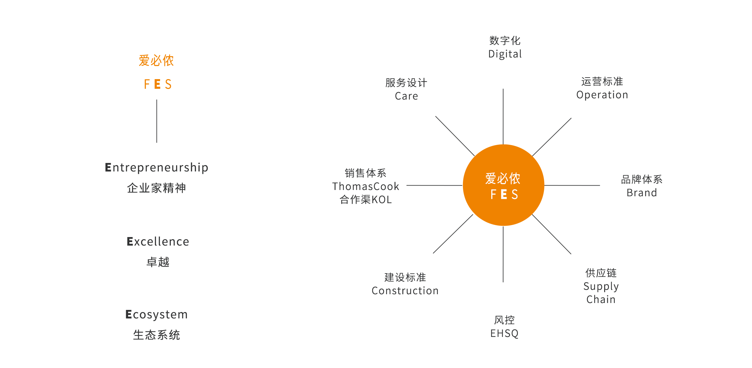 卓越的爱必侬FES体系